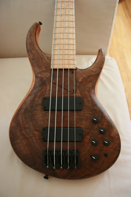 IMG_2322.jpg