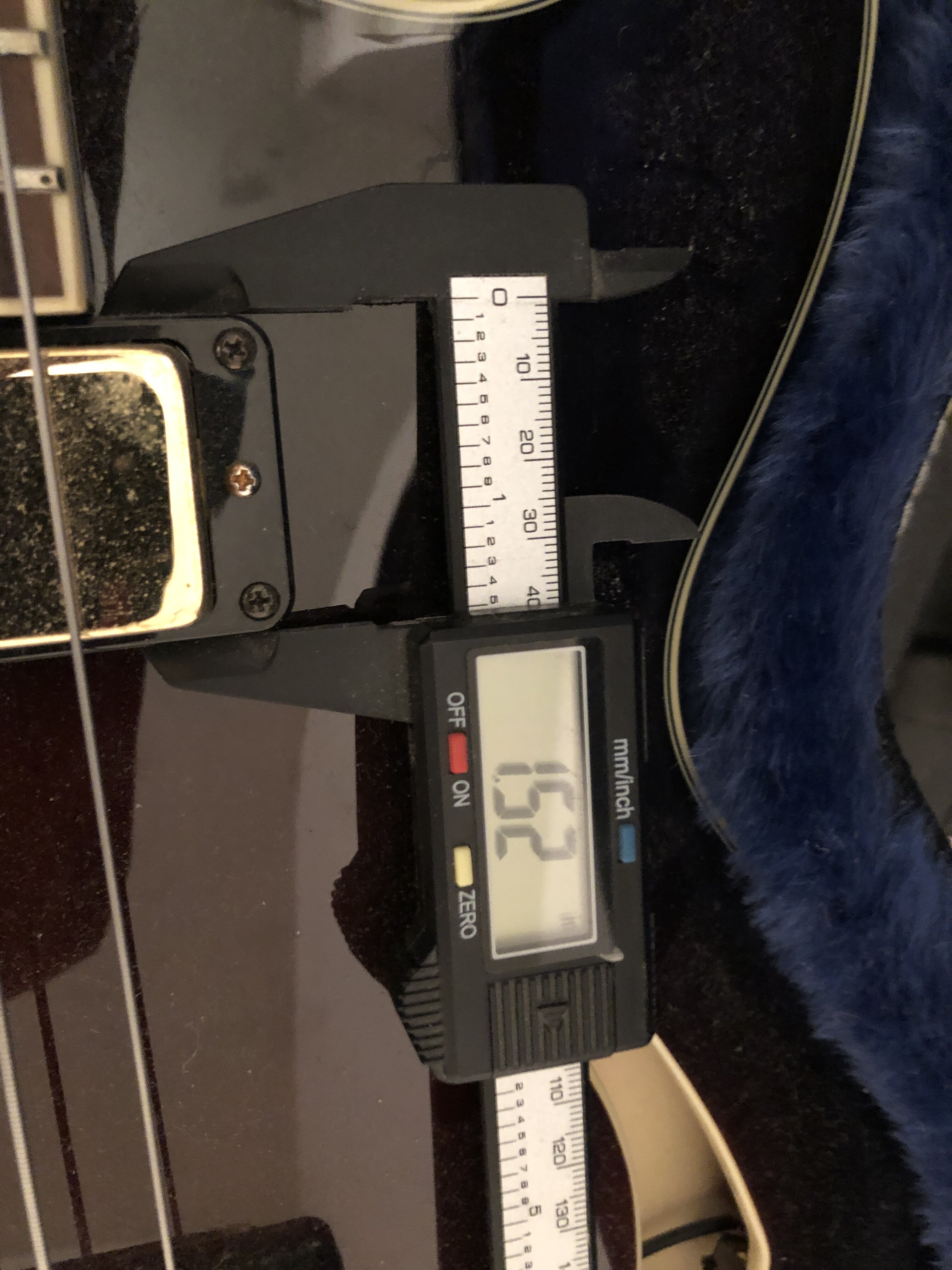 IMG_2386.jpeg