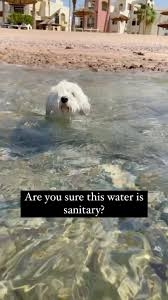 IMG_2387.jpeg