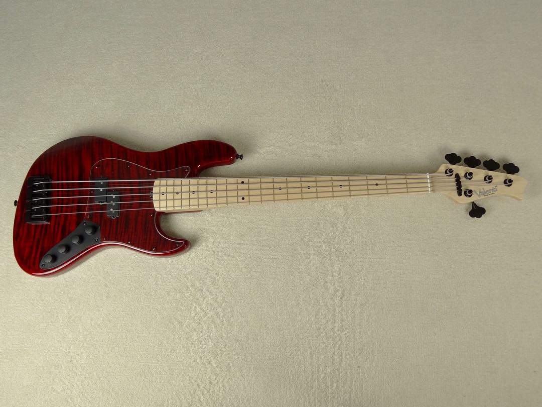 IMG_2456pbass.JPG
