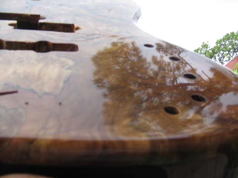 IMG_2461.jpg