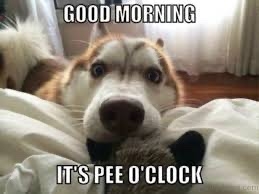 IMG_2480.jpeg
