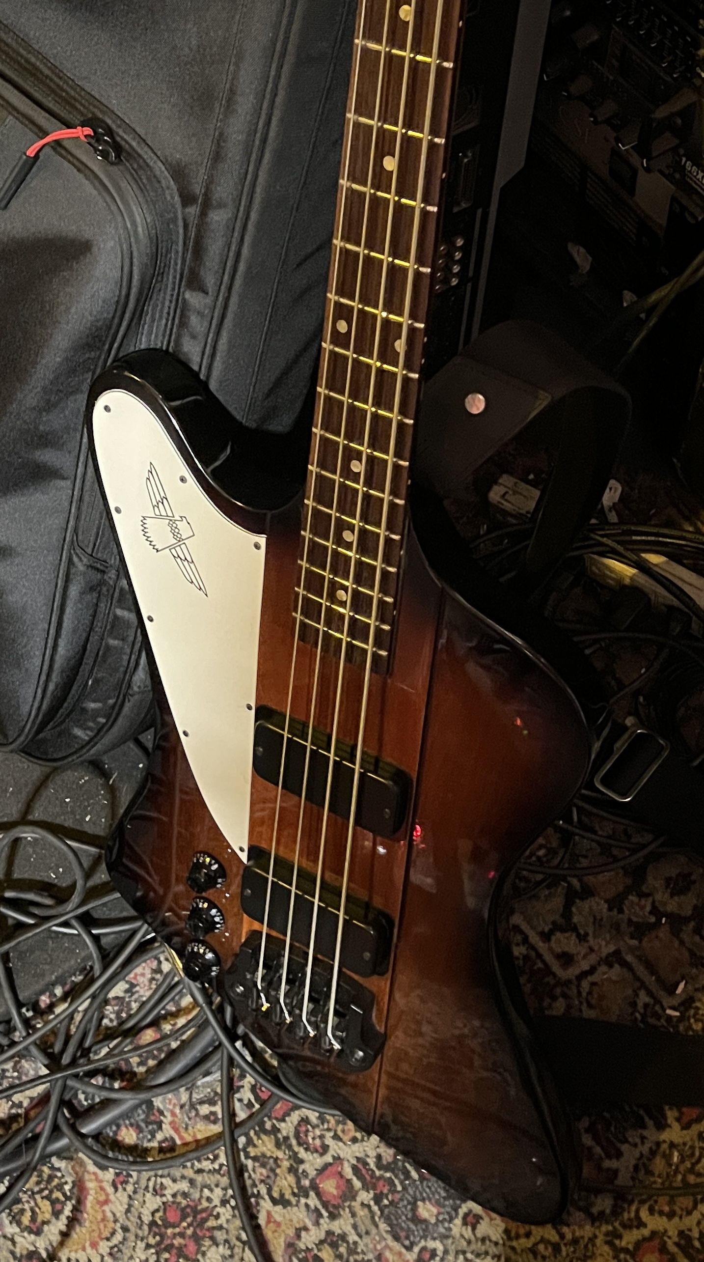 IMG_2511.jpeg