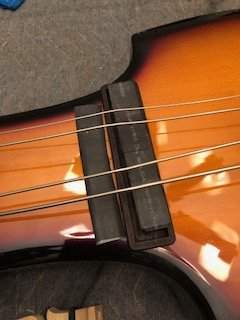 IMG_2520.jpg