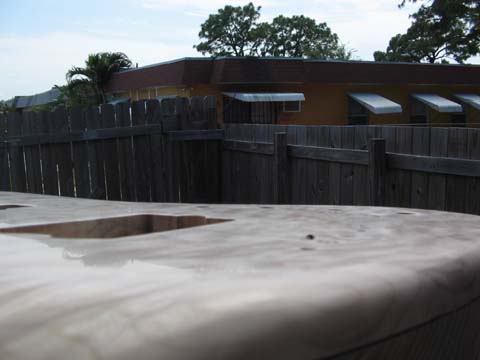 IMG_2584.jpg