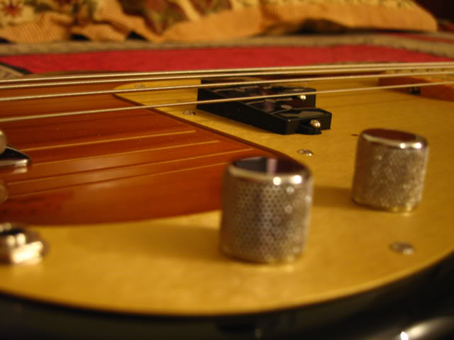 IMG_2700.jpg