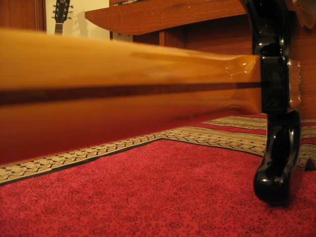 IMG_2725.jpg
