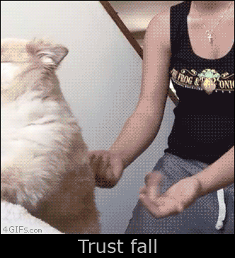 IMG_2785.gif