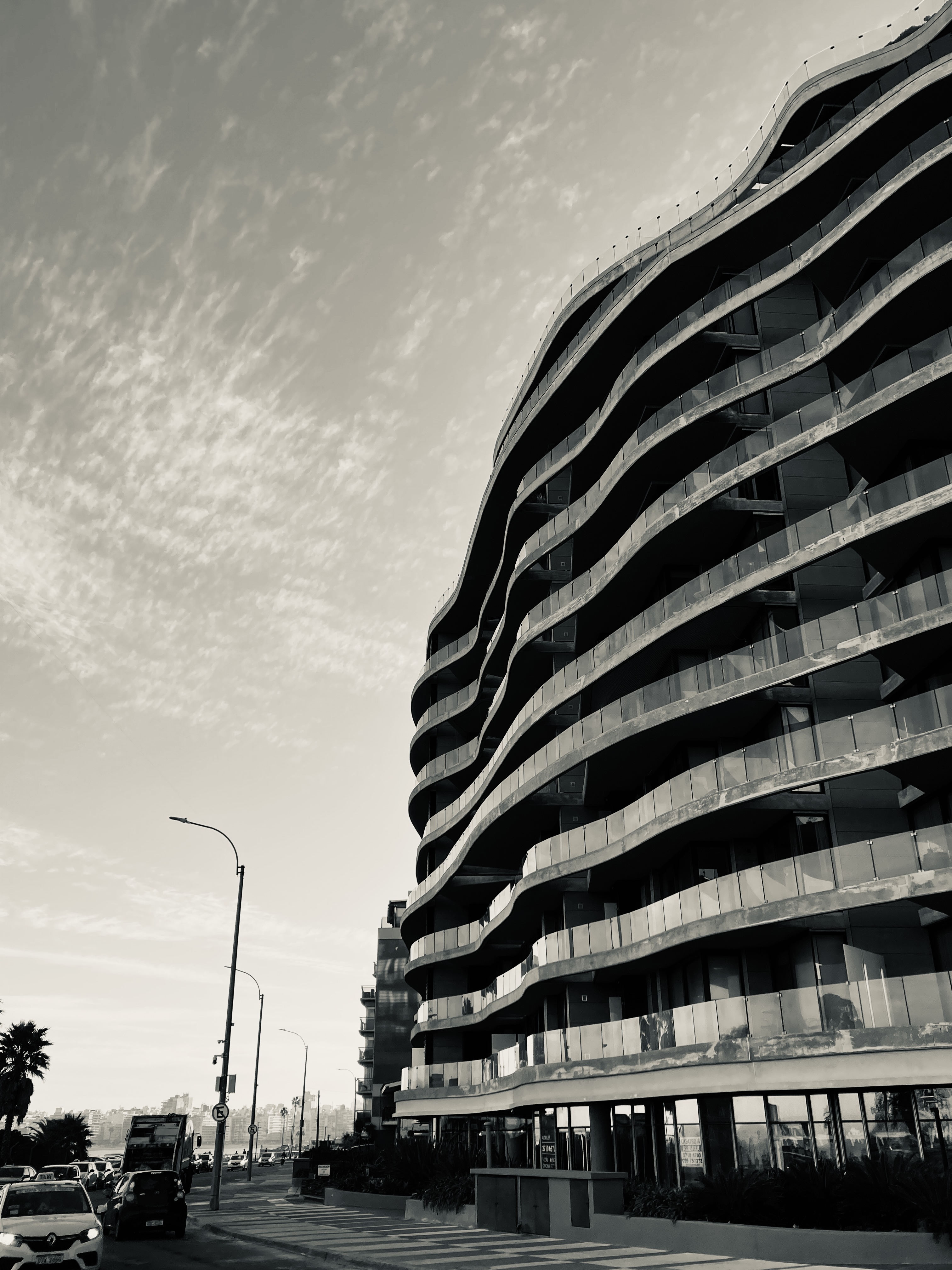 IMG_2823.jpeg
