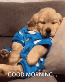 IMG_2826.gif