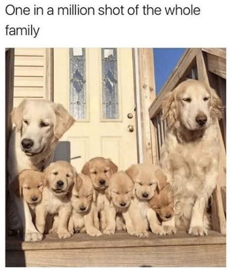 IMG_2854.jpeg