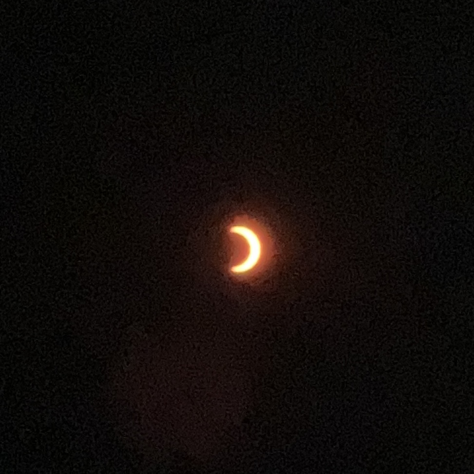 IMG_2917.jpeg