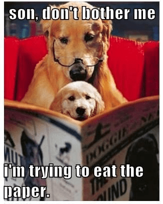 IMG_2984.png