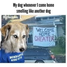 IMG_2997.jpeg
