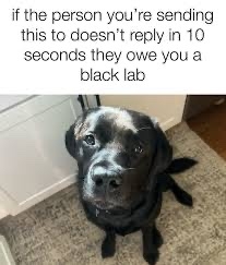 IMG_3016.jpeg