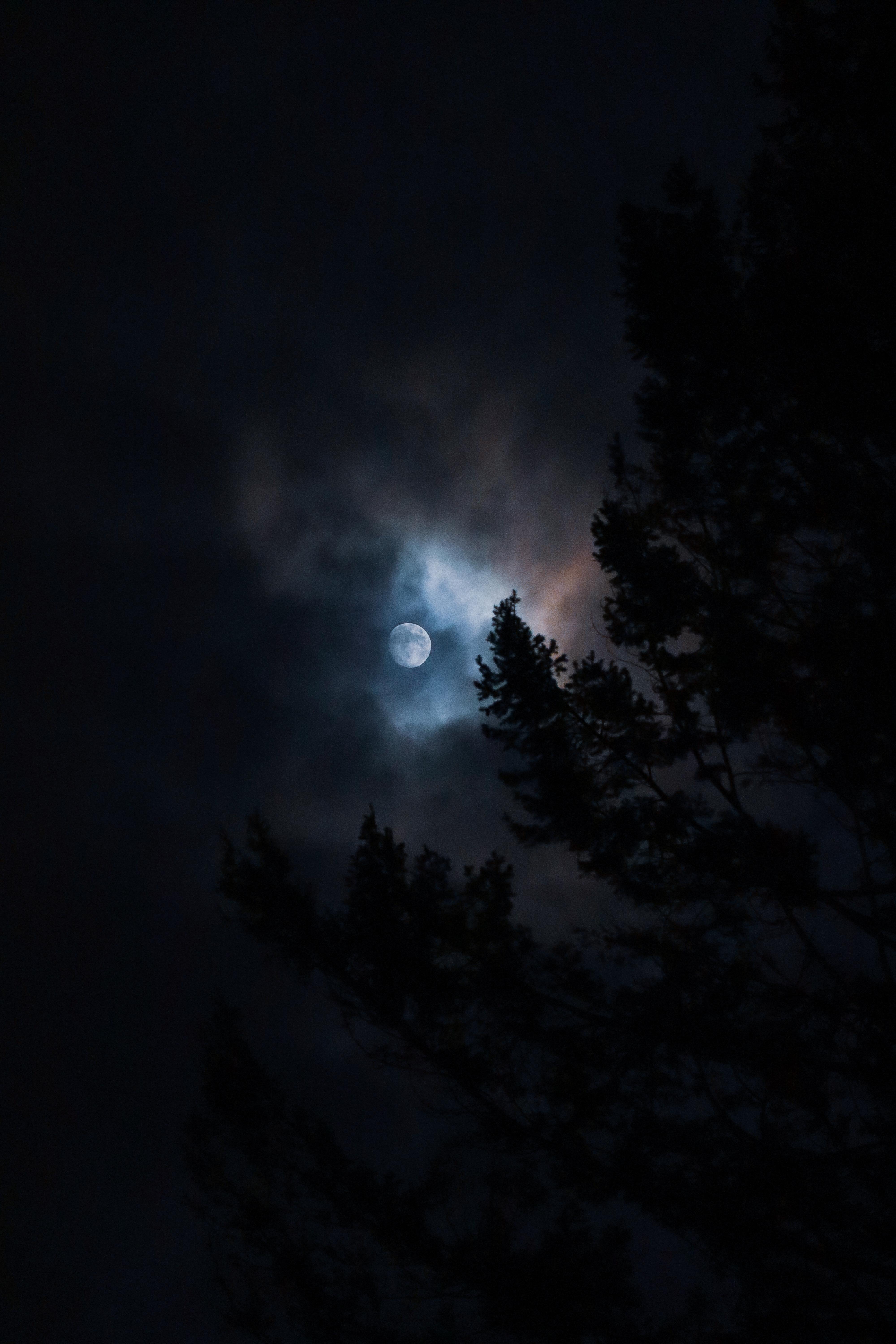 IMG_3019.jpeg