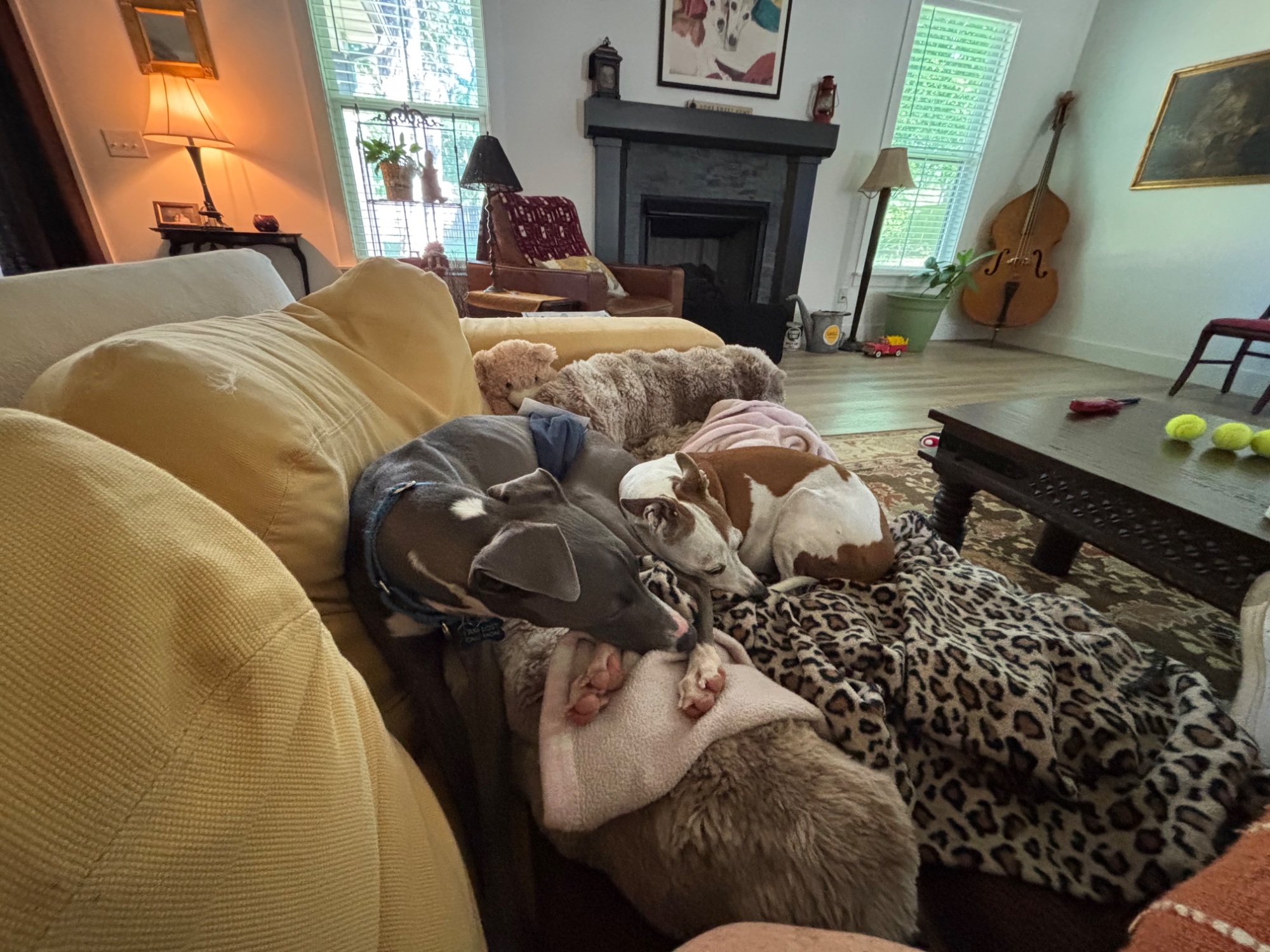 IMG_3031.jpeg