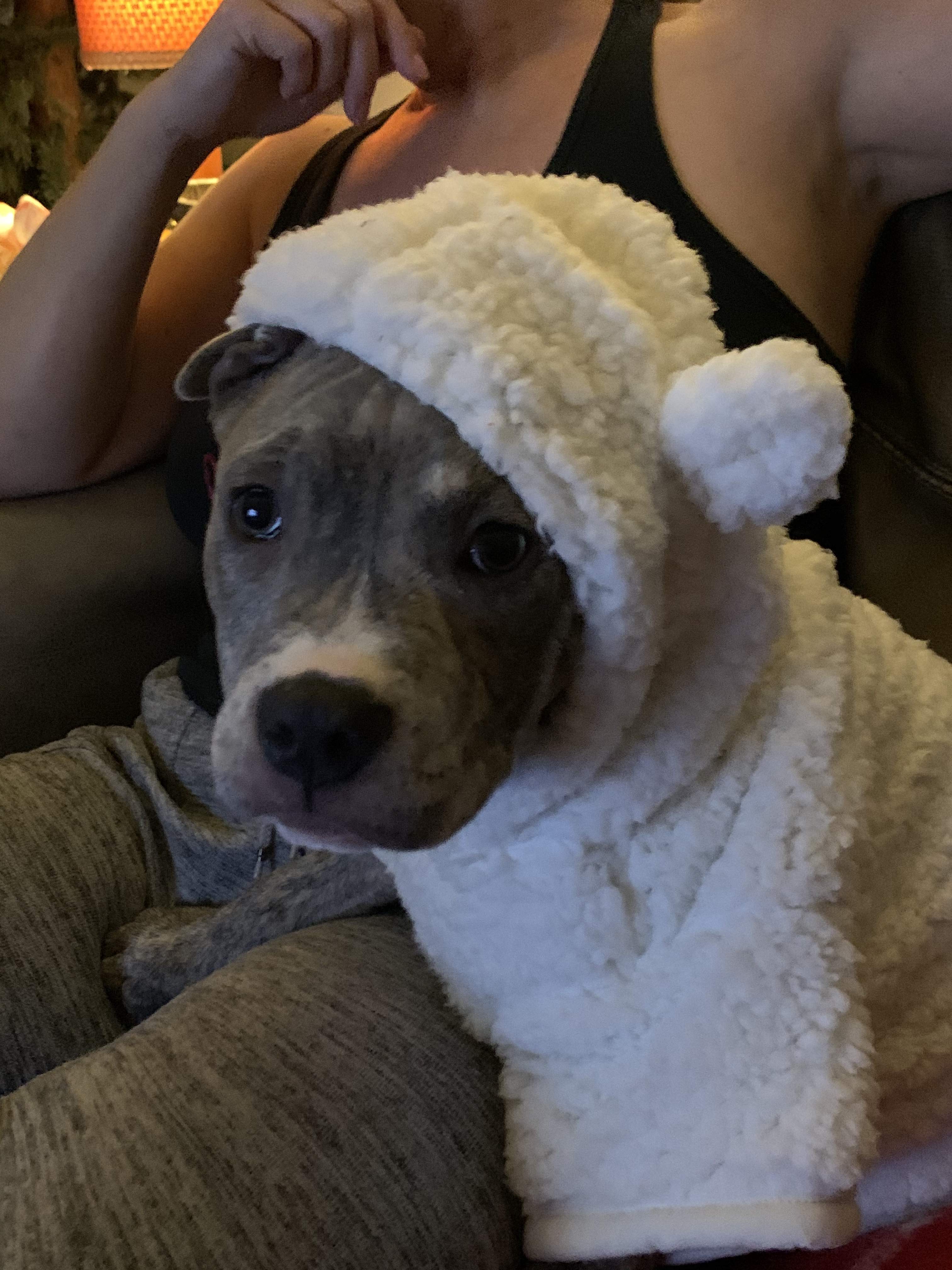IMG_3036.jpg
