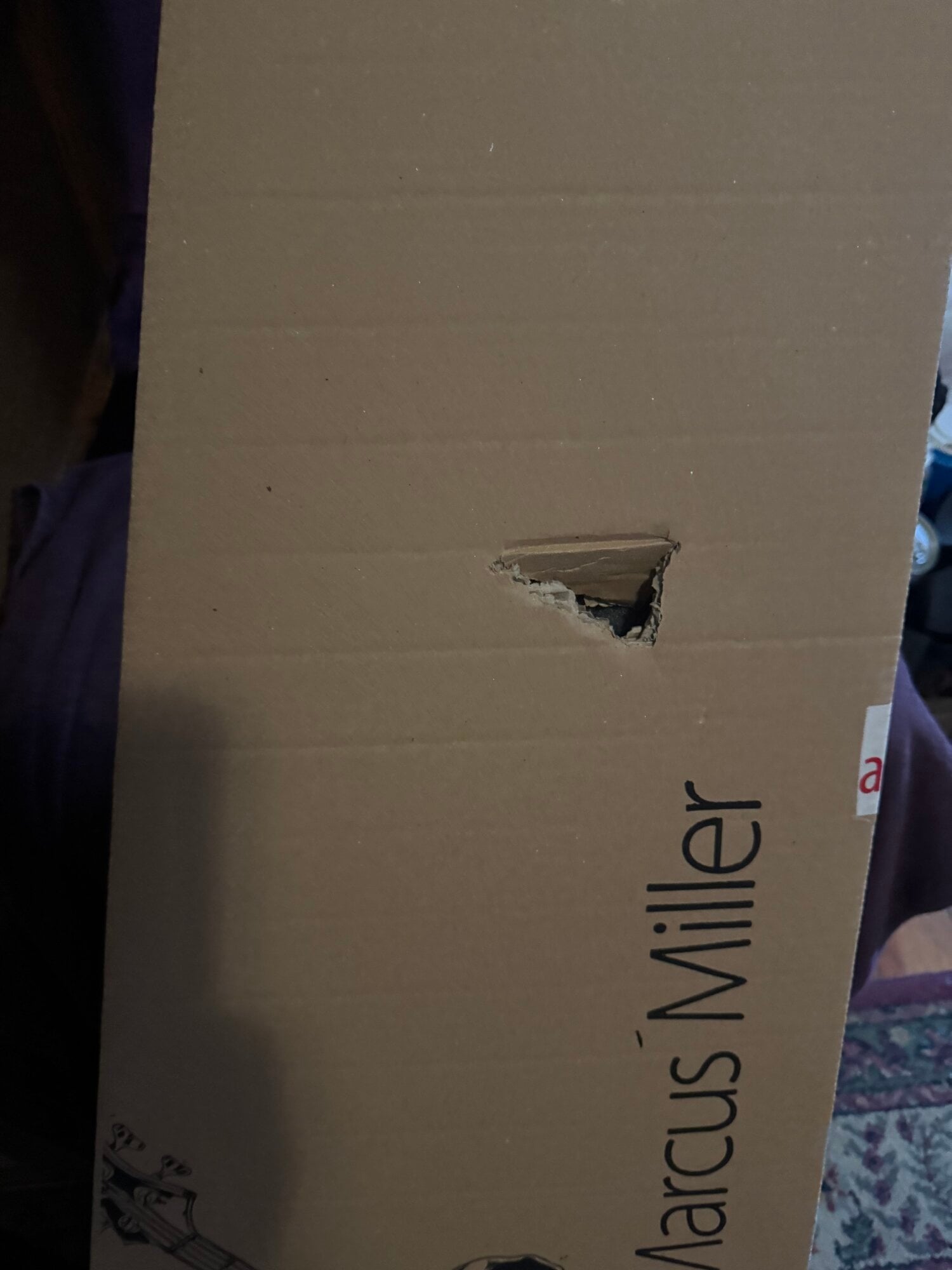 And yea, they knew not their holes