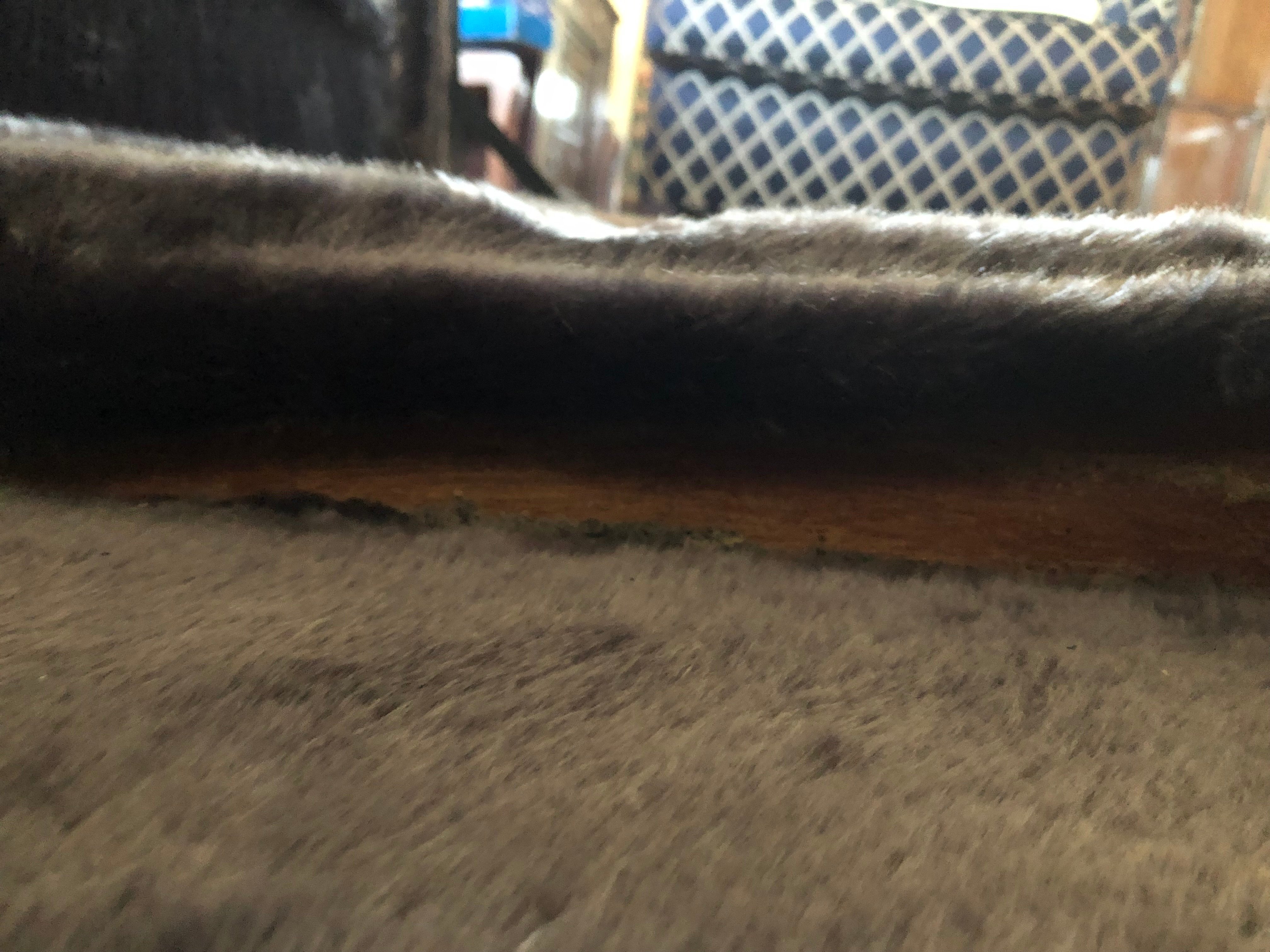 IMG_3115.jpeg