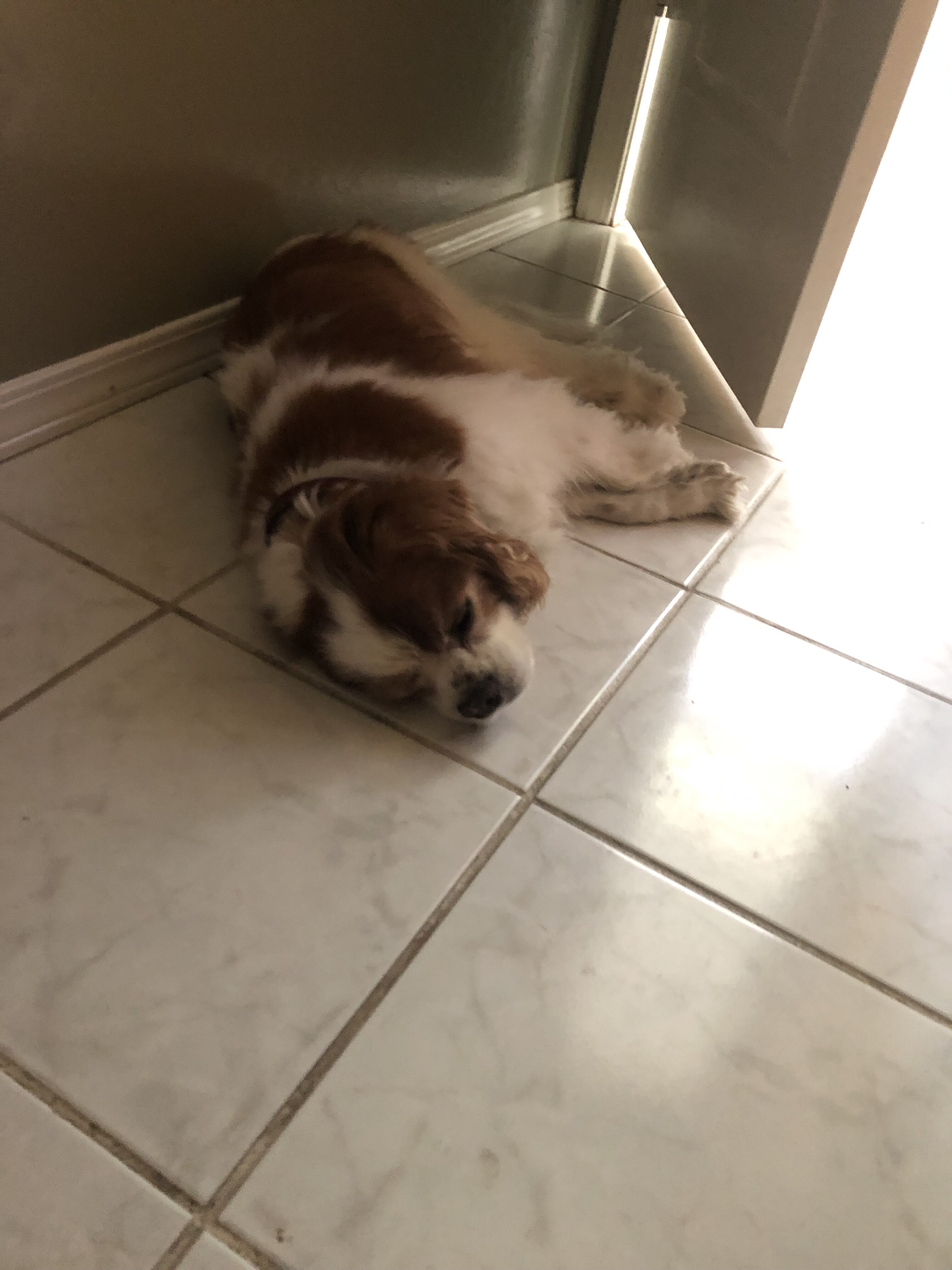 IMG_3140.jpeg