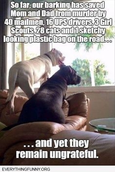 IMG_3225.jpeg