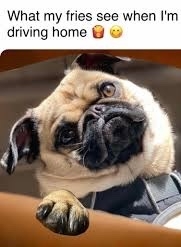 IMG_3226.jpeg