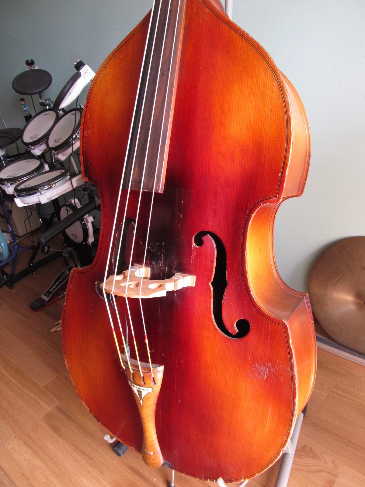 IMG_3240.jpg