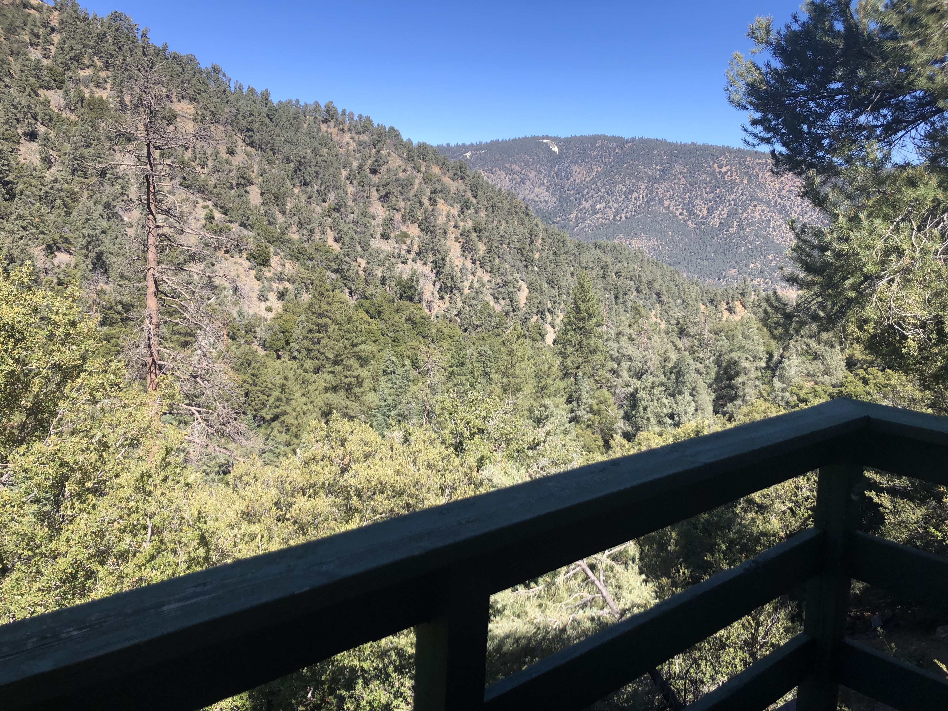 IMG_3246.jpeg