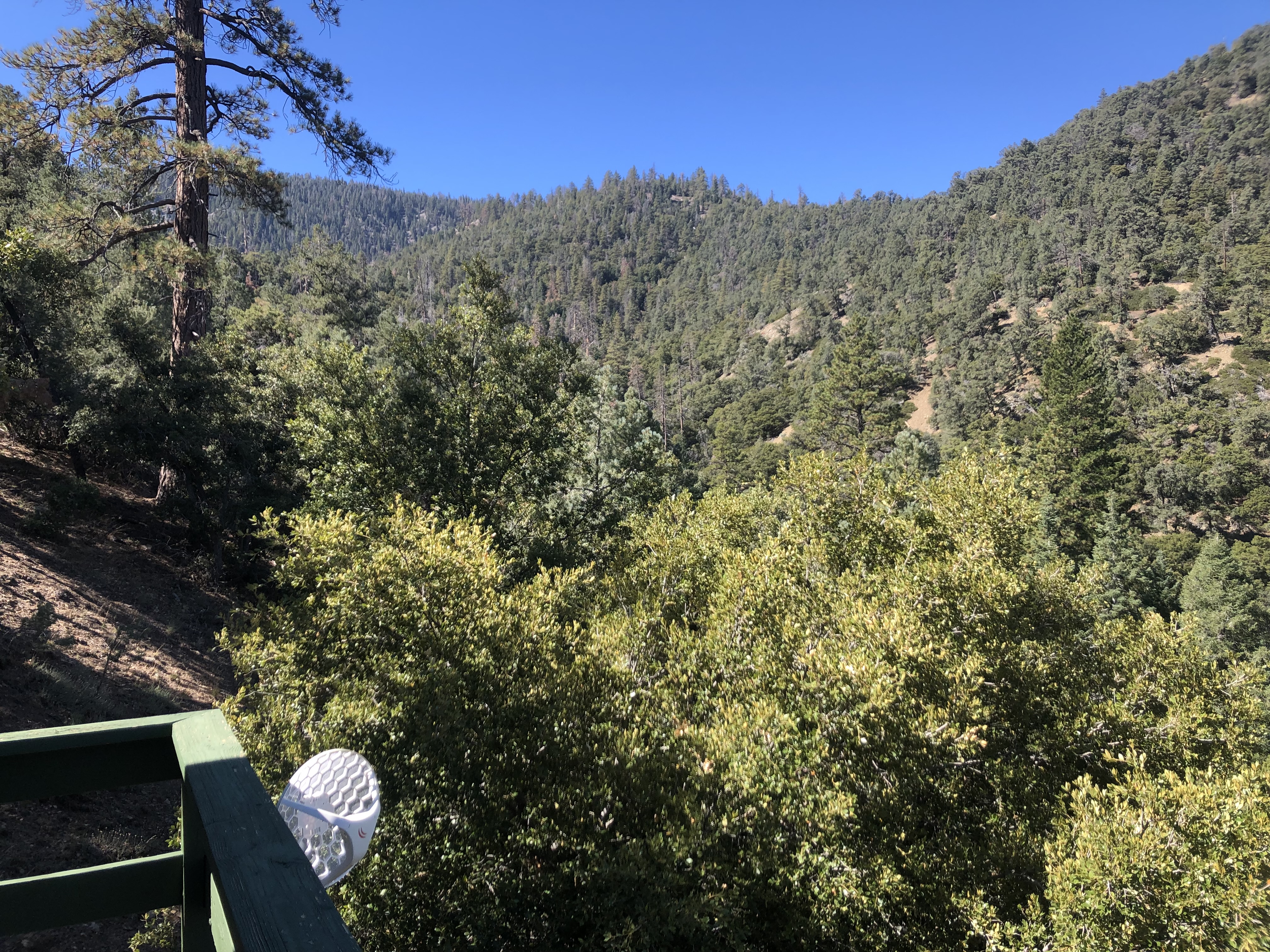 IMG_3247.jpeg