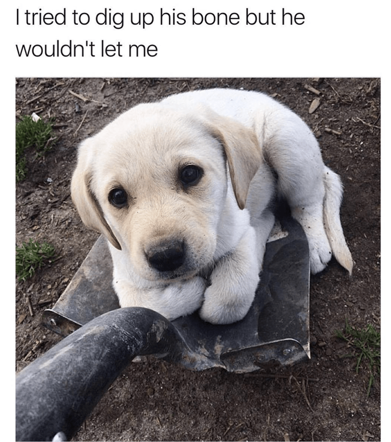 IMG_3349.png