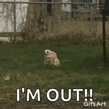 IMG_3401.gif