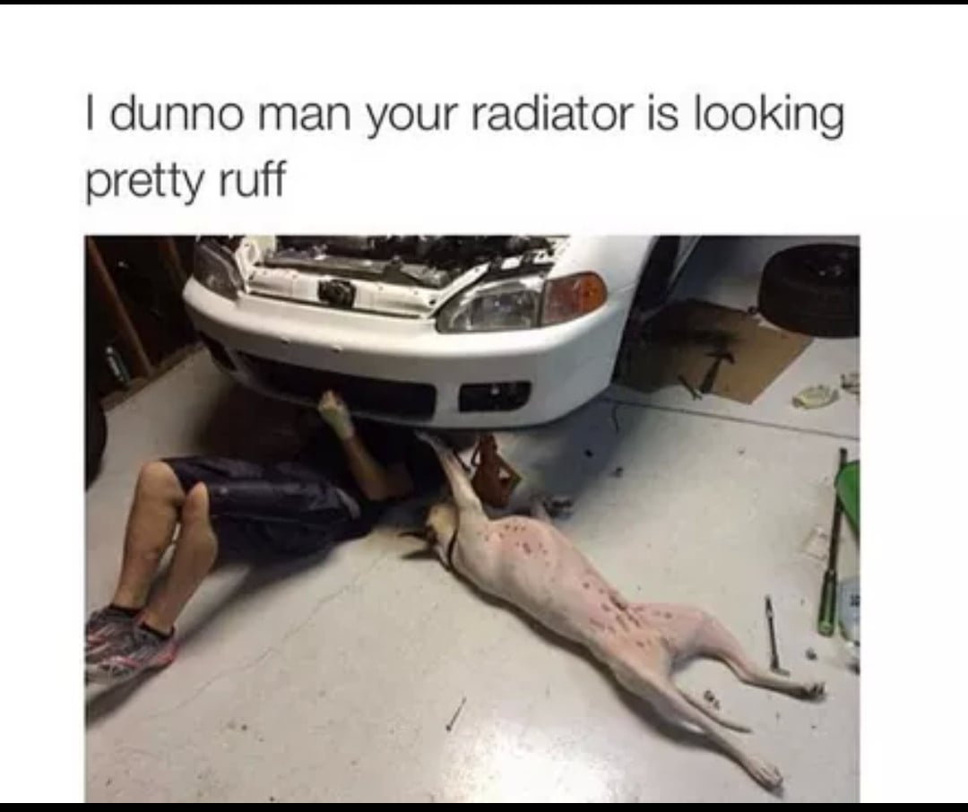 IMG_3441.jpeg