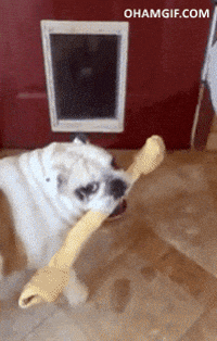 IMG_3468.gif