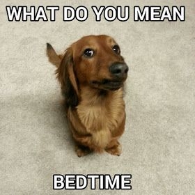 IMG_3479.jpeg