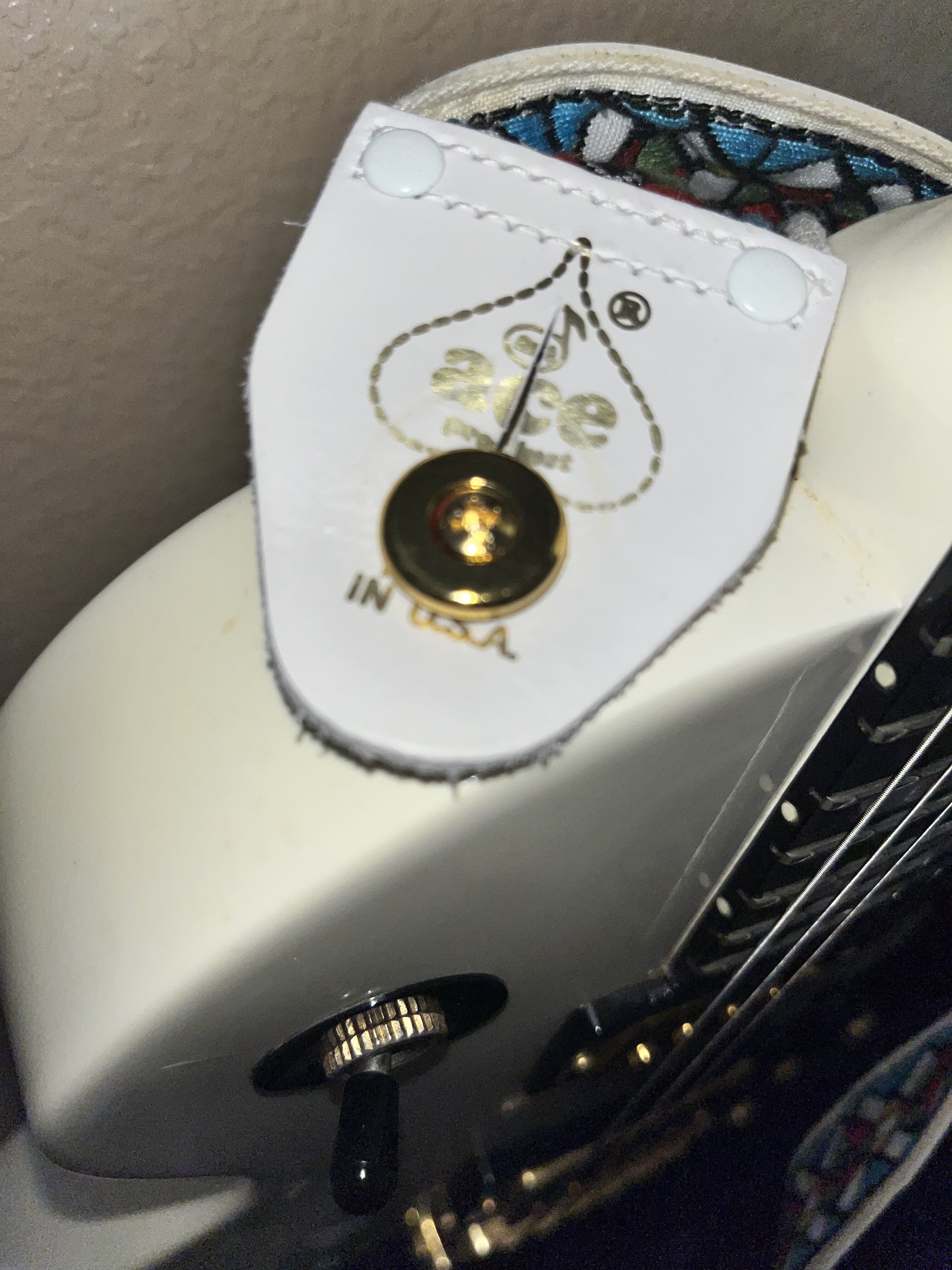 IMG_3516.jpeg