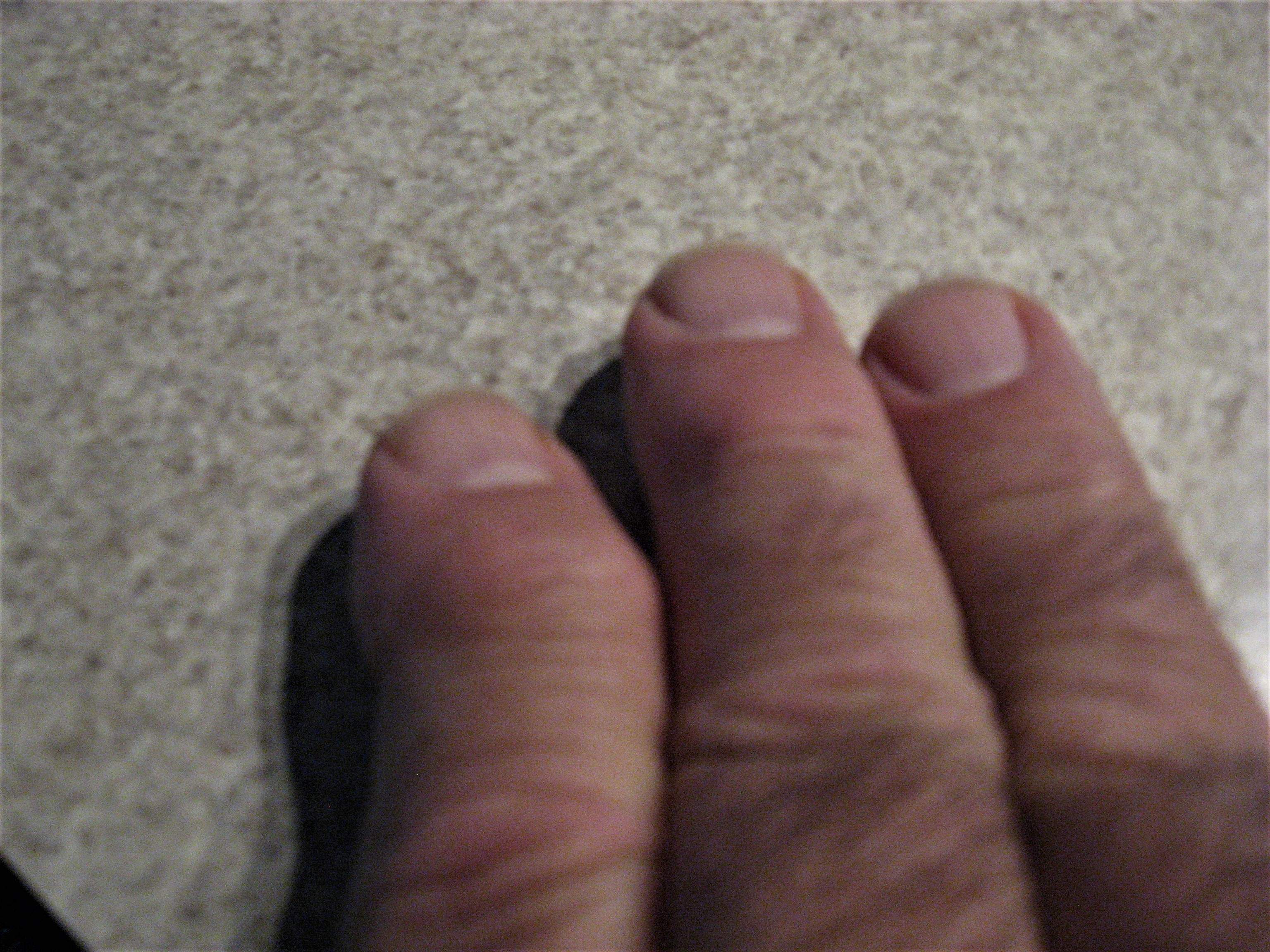IMG_3587.JPG