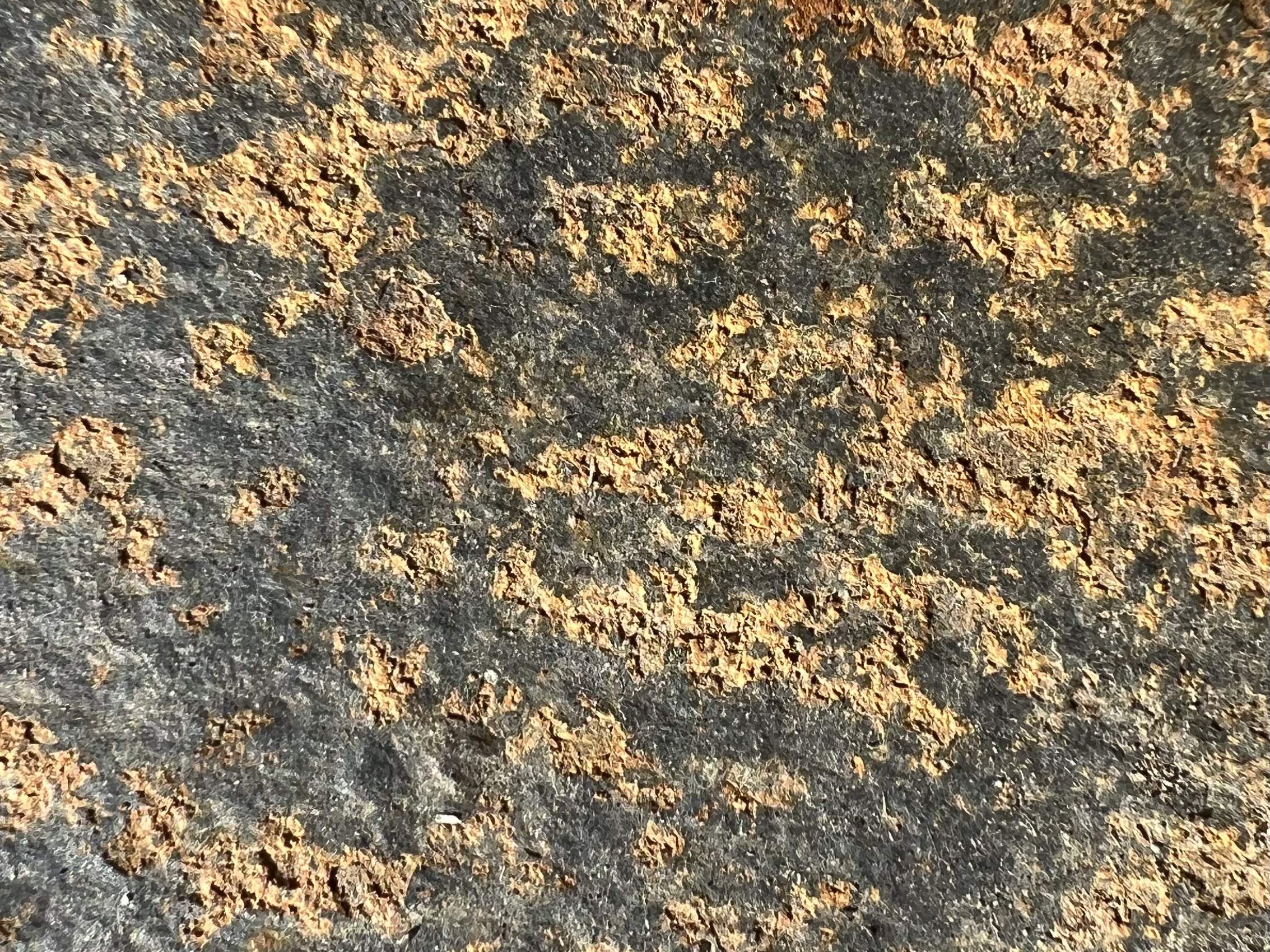 IMG_3803.jpeg