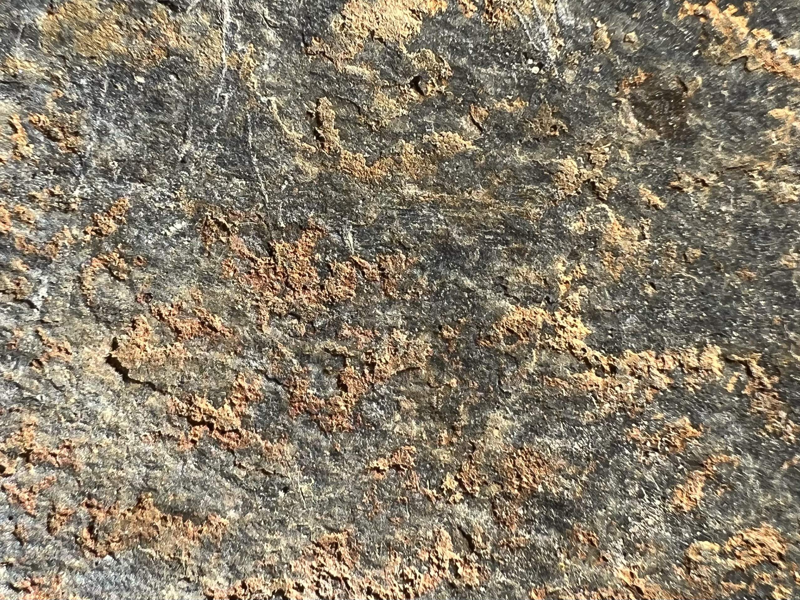 IMG_3804.jpeg