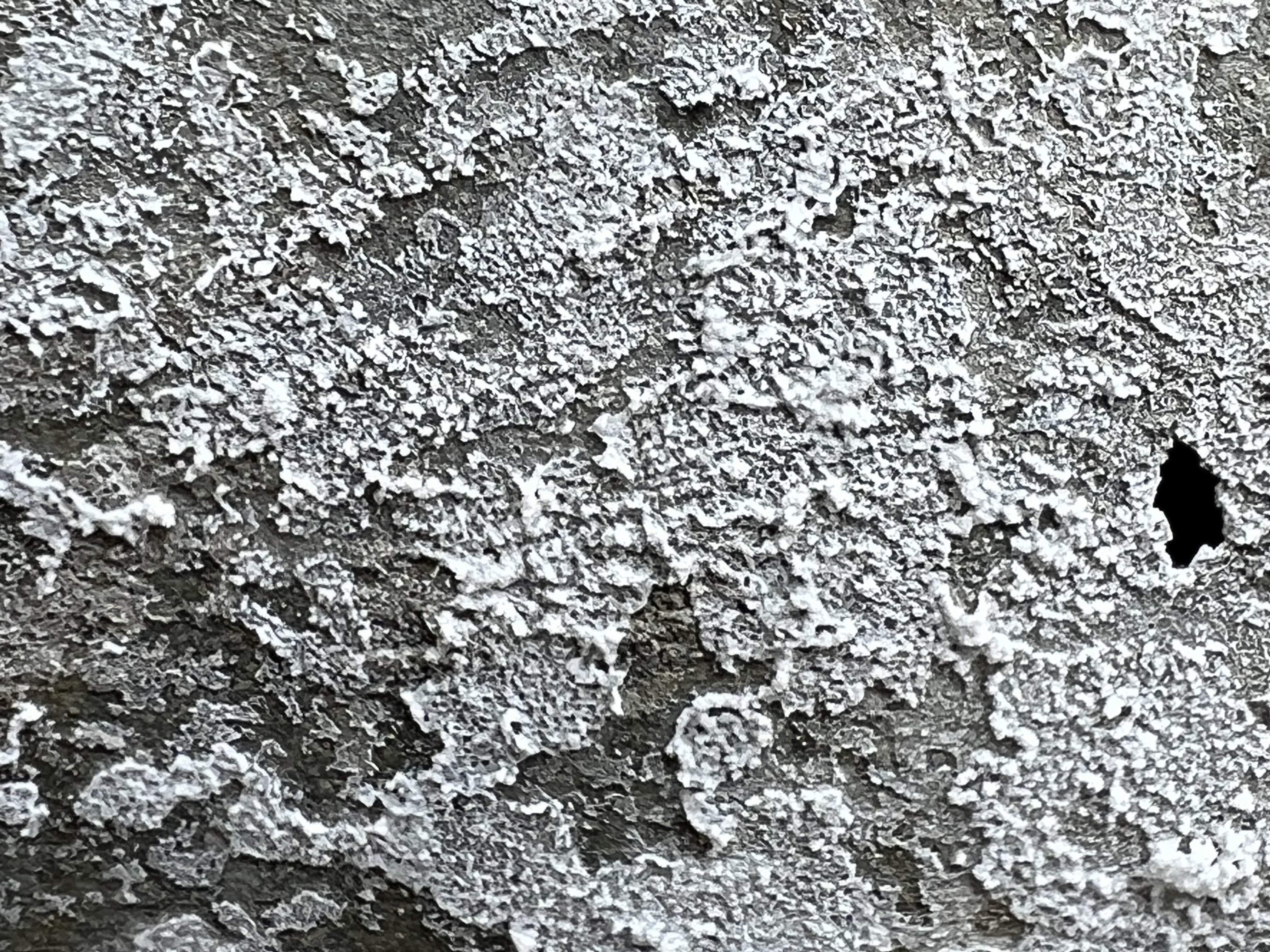 IMG_3816.jpeg
