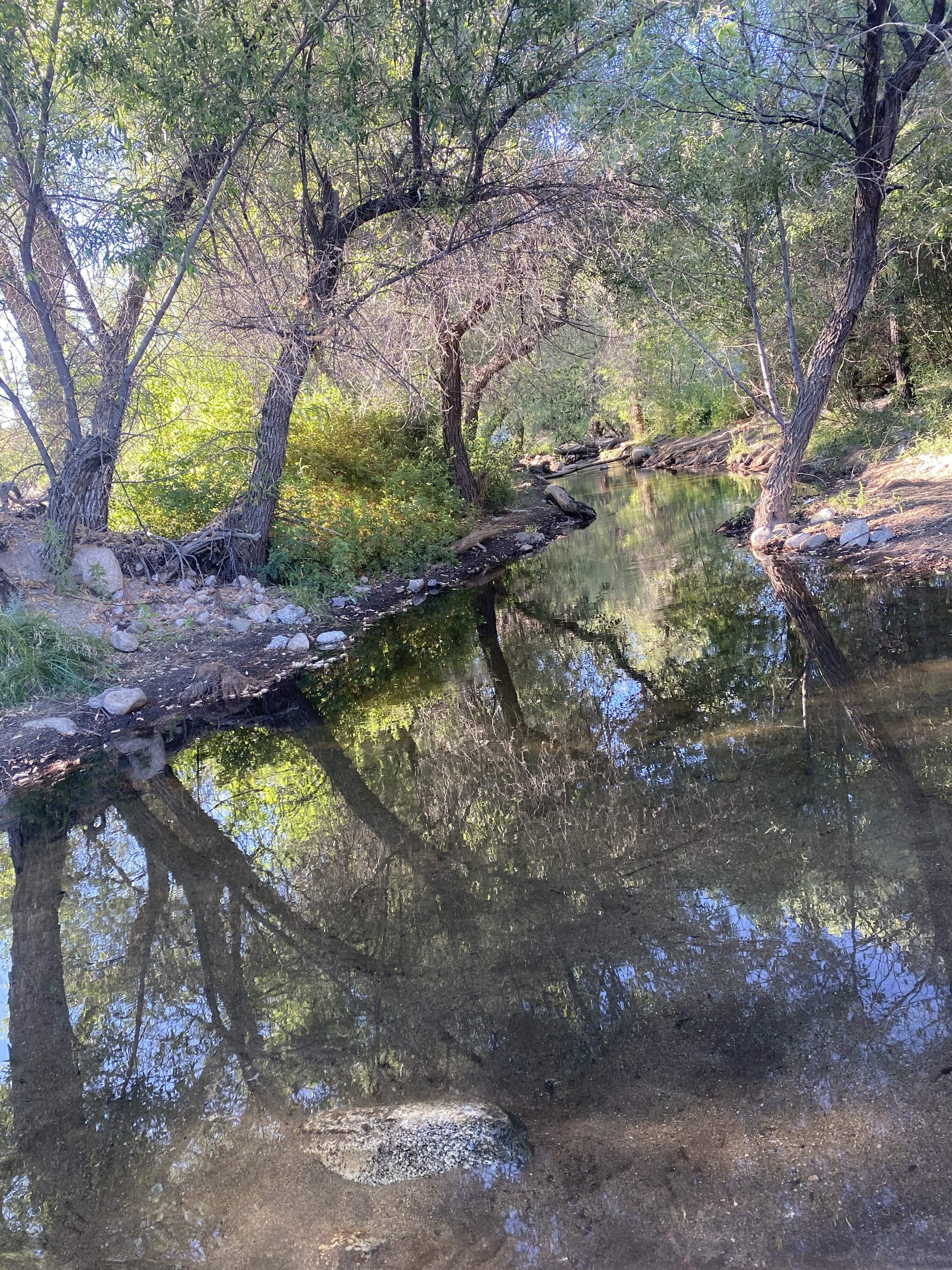 IMG_3885.jpeg