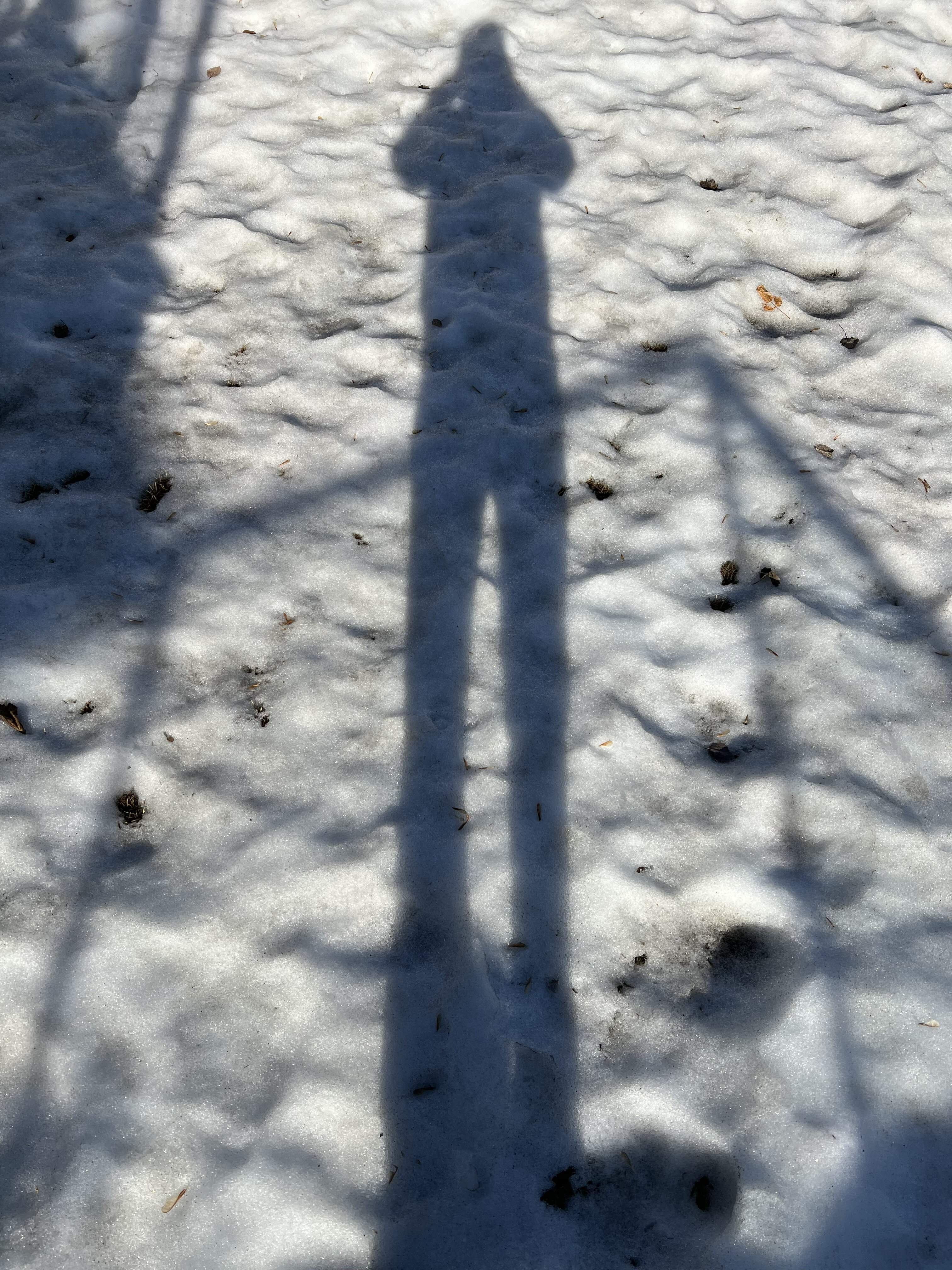 IMG_3903.jpeg