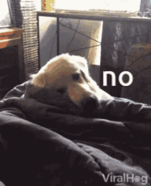 IMG_3925.gif