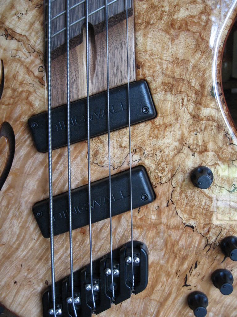 IMG_3953.jpg