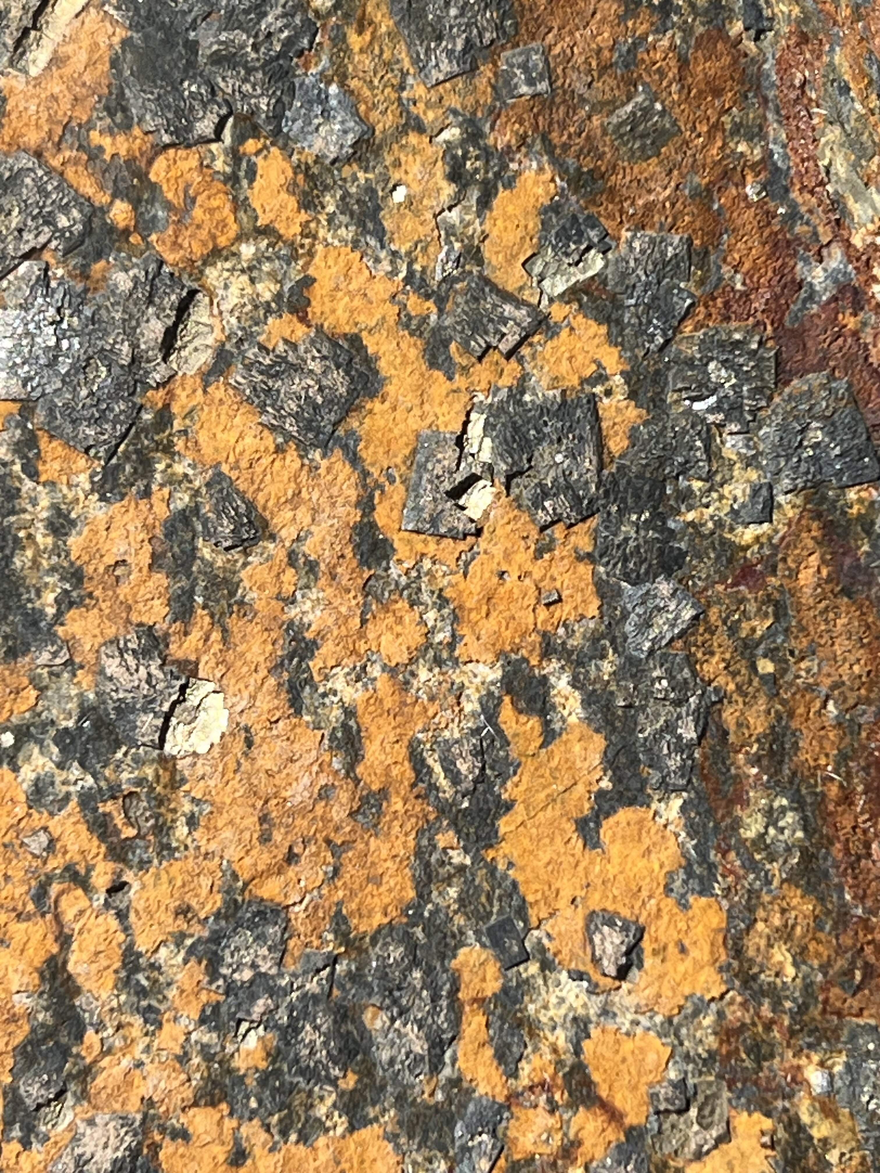 IMG_3956.jpeg