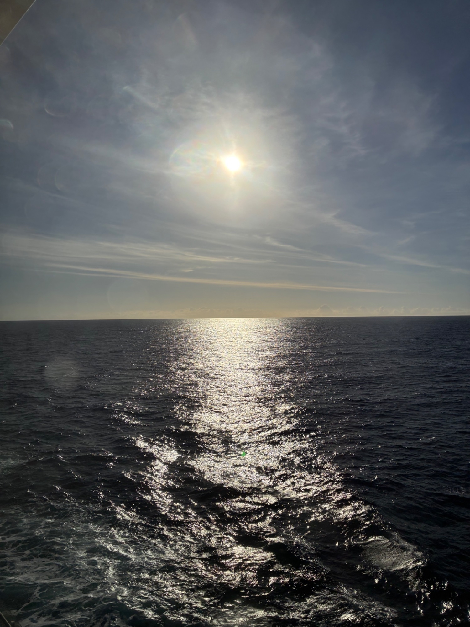 IMG_4080.jpeg
