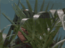 IMG_4146.gif