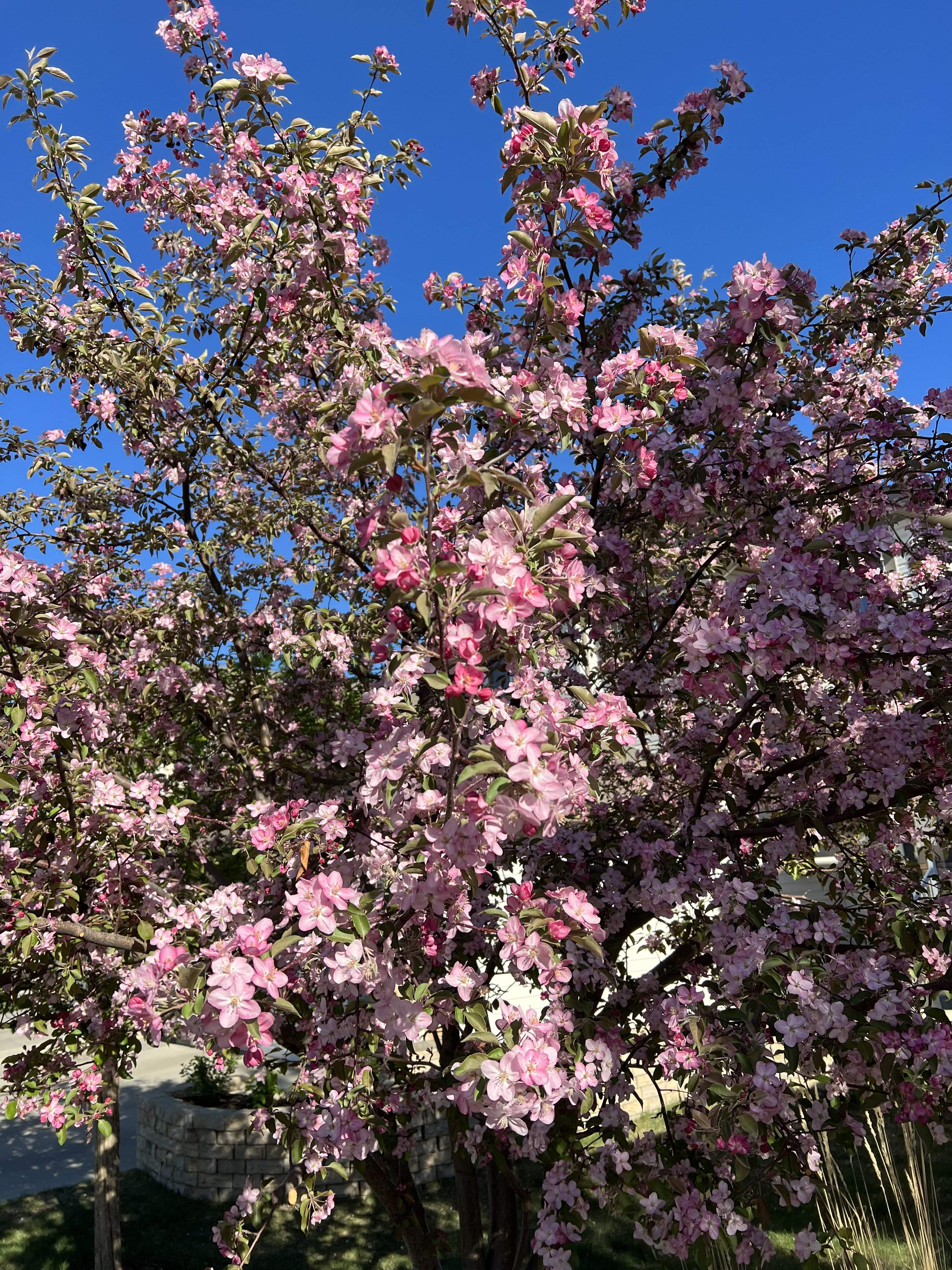 IMG_4234.jpeg