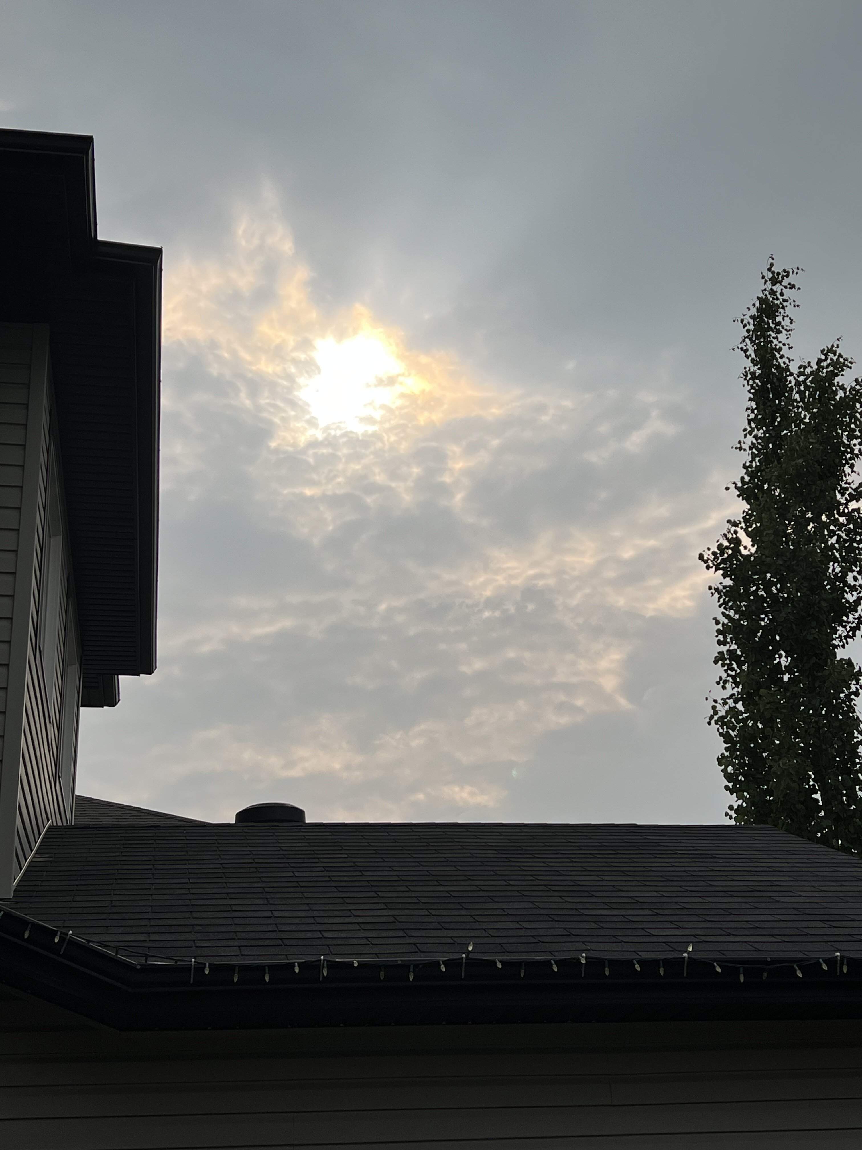 IMG_4274.jpeg