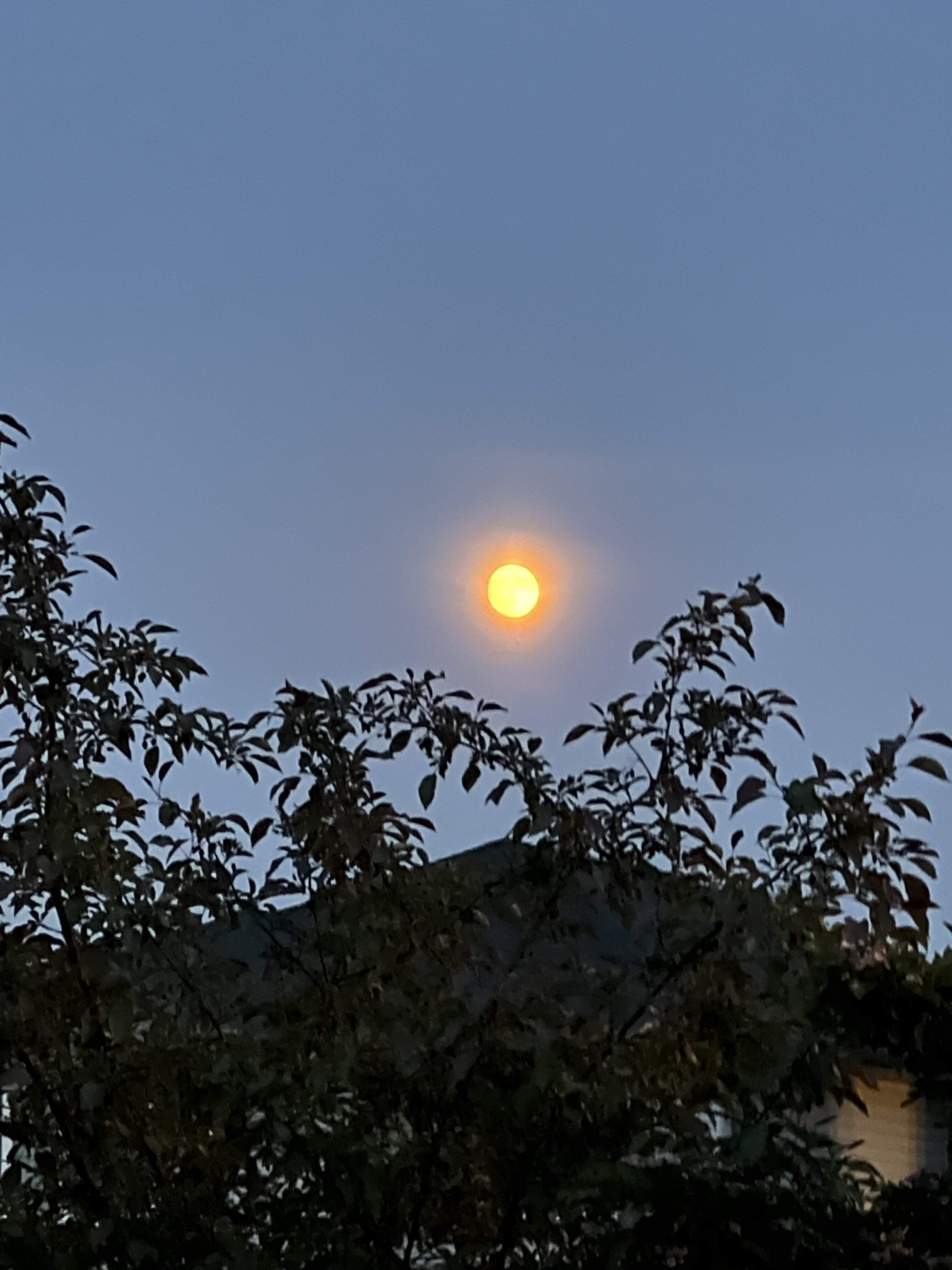 IMG_4351.jpeg